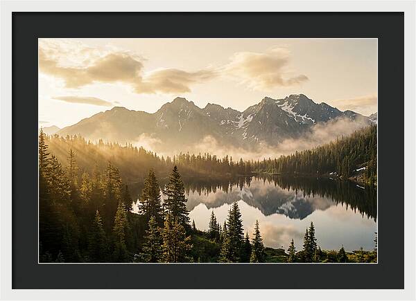 Serenity At Mount Rainier