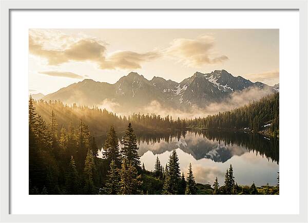 Serenity At Mount Rainier