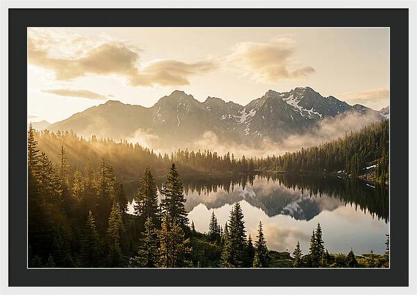 Serenity At Mount Rainier