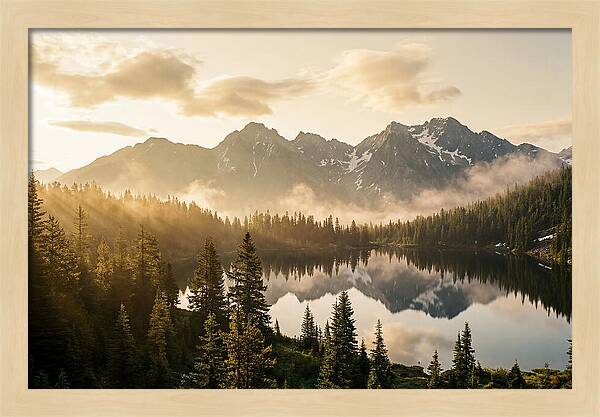 Serenity At Mount Rainier