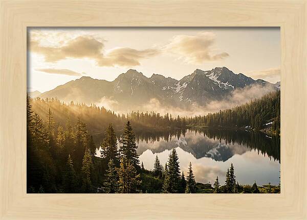 Serenity At Mount Rainier
