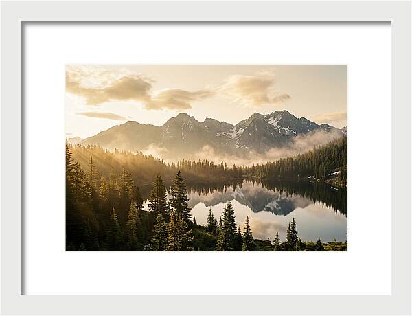 Serenity At Mount Rainier