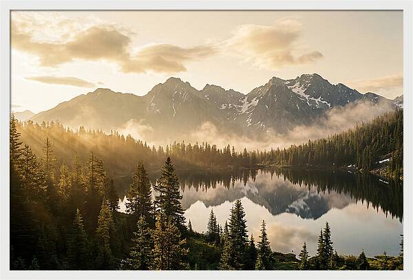 Serenity At Mount Rainier