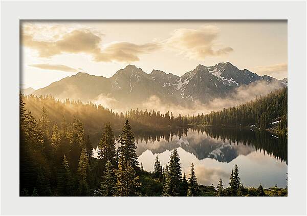 Serenity At Mount Rainier
