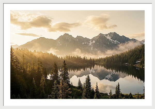 Serenity At Mount Rainier