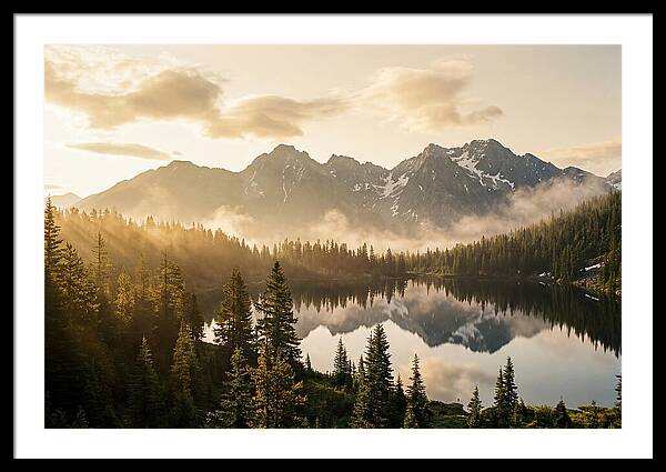 Serenity At Mount Rainier