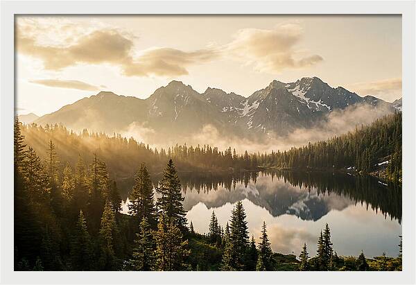 Serenity At Mount Rainier