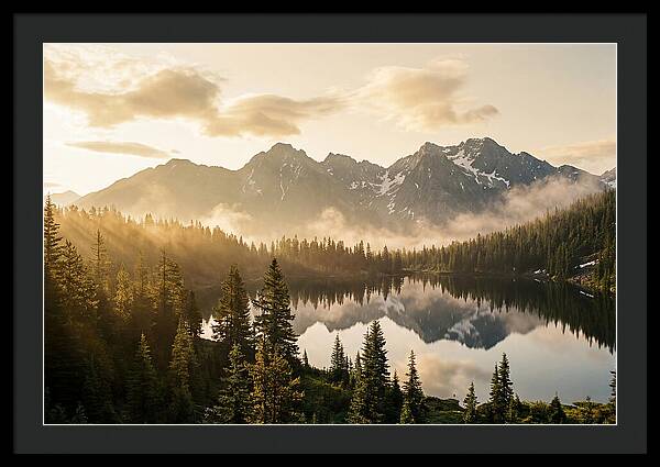 Serenity At Mount Rainier