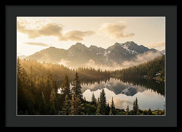 Serenity At Mount Rainier