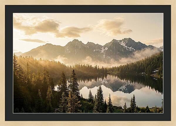 Serenity At Mount Rainier