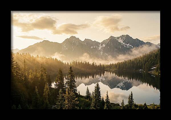 Serenity At Mount Rainier