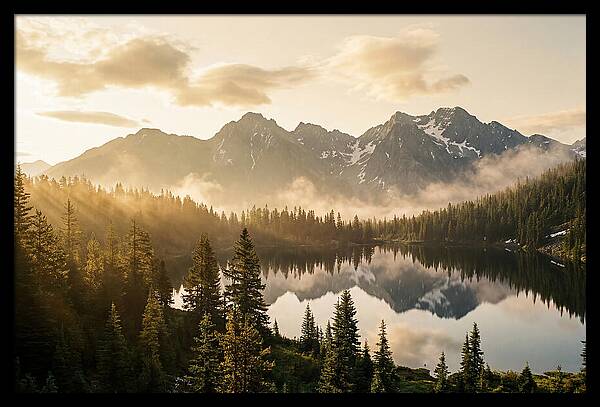 Serenity At Mount Rainier