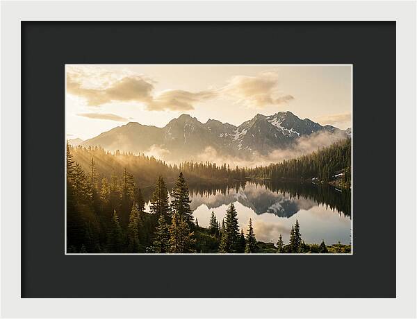 Serenity At Mount Rainier