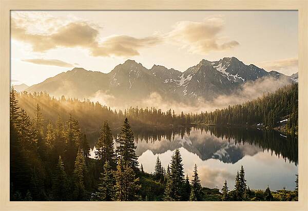 Serenity At Mount Rainier