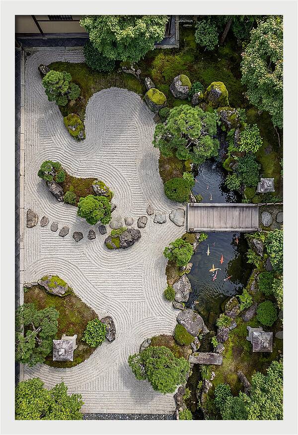 Serenity In A Japanese Garden