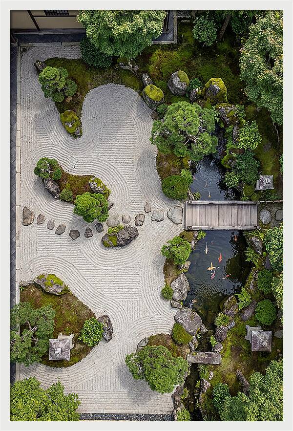 Serenity In A Japanese Garden