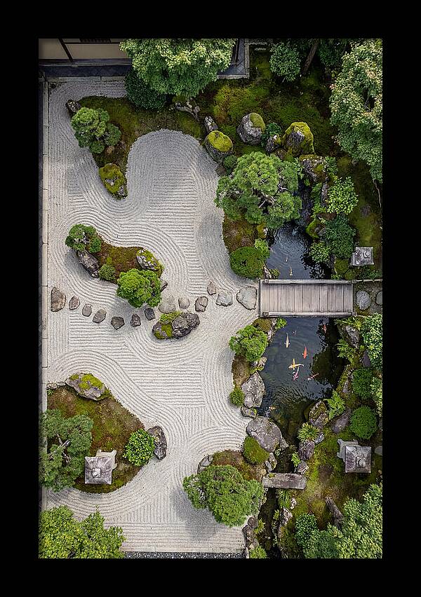 Serenity In A Japanese Garden