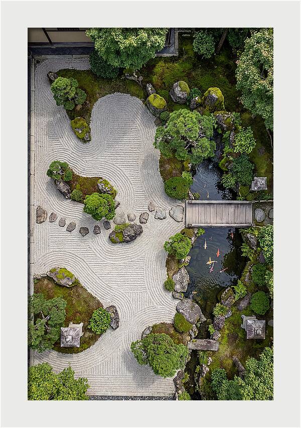 Serenity In A Japanese Garden