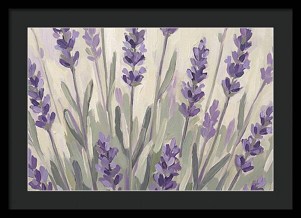 Serenity In Lavender Fields