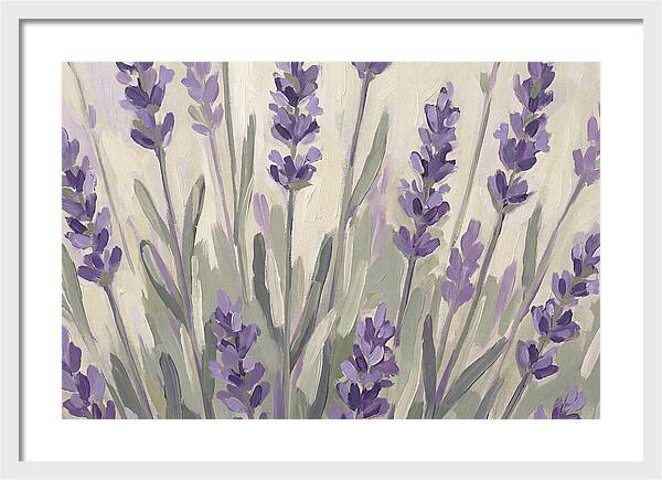Serenity In Lavender Fields