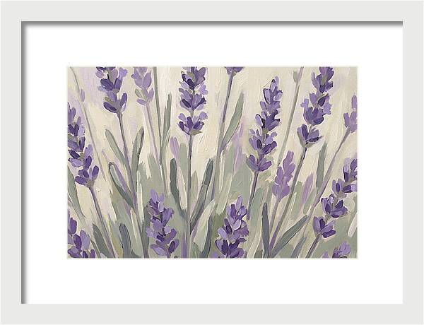 Serenity In Lavender Fields
