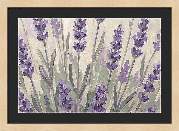 Serenity In Lavender Fields