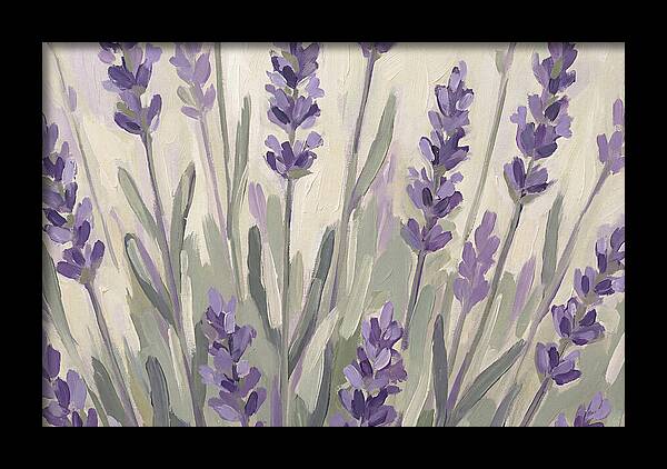 Serenity In Lavender Fields