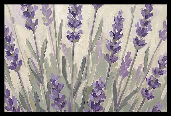 Serenity In Lavender Fields
