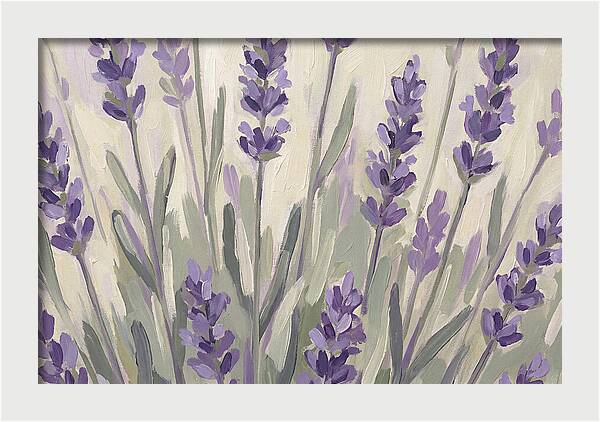 Serenity In Lavender Fields