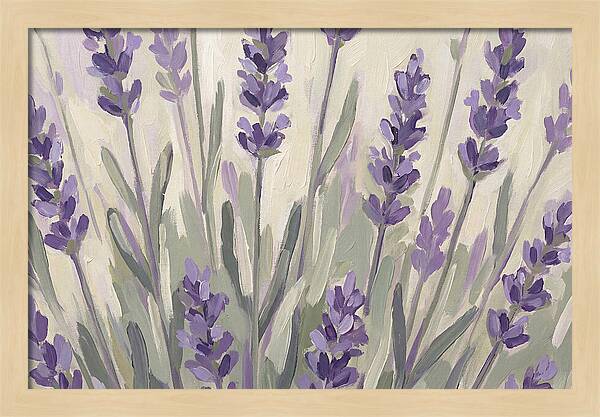 Serenity In Lavender Fields