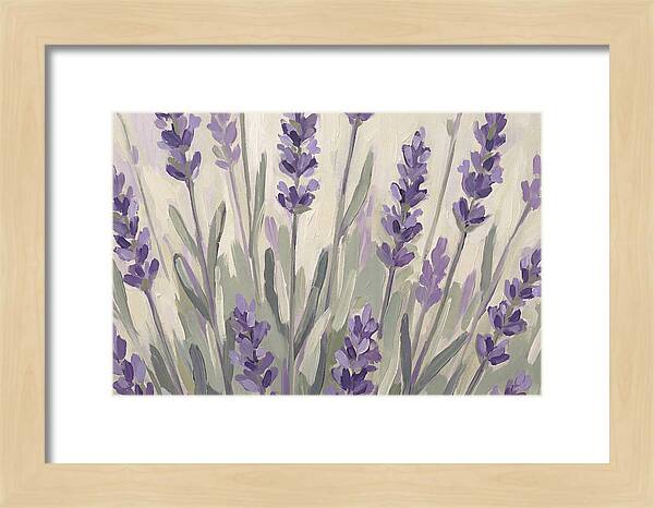Serenity In Lavender Fields