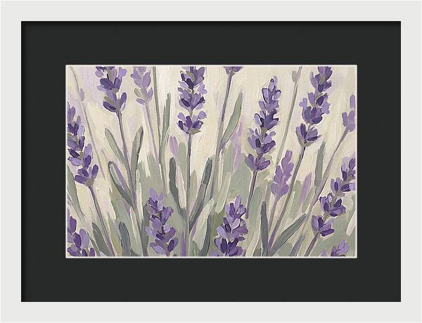 Serenity In Lavender Fields