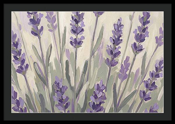 Serenity In Lavender Fields
