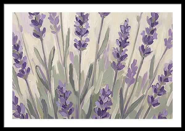 Serenity In Lavender Fields