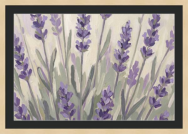 Serenity In Lavender Fields