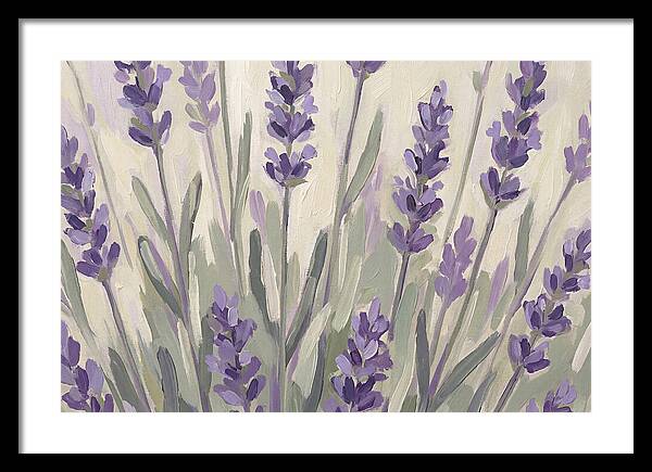 Serenity In Lavender Fields