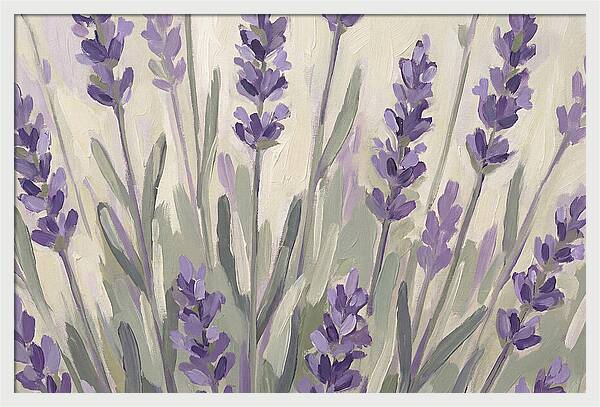 Serenity In Lavender Fields