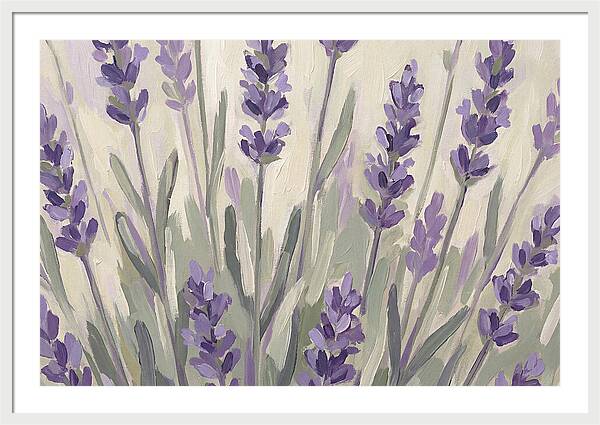 Serenity In Lavender Fields