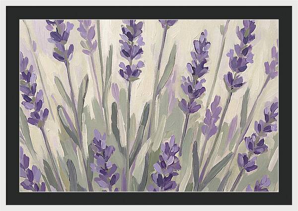 Serenity In Lavender Fields
