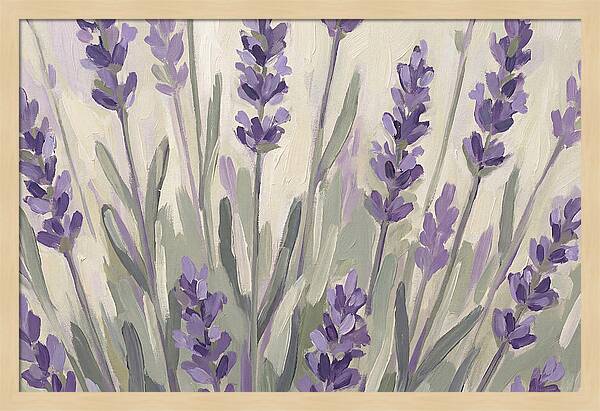 Serenity In Lavender Fields