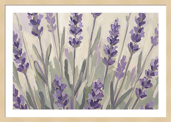 Serenity In Lavender Fields
