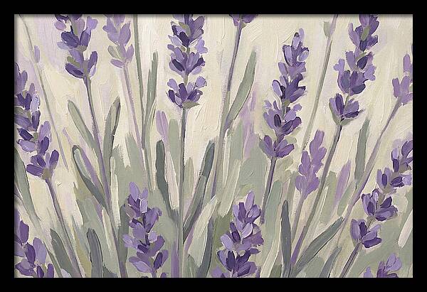 Serenity In Lavender Fields