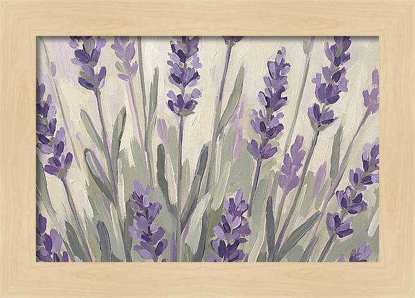 Serenity In Lavender Fields