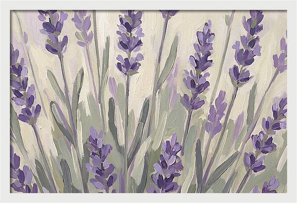 Serenity In Lavender Fields