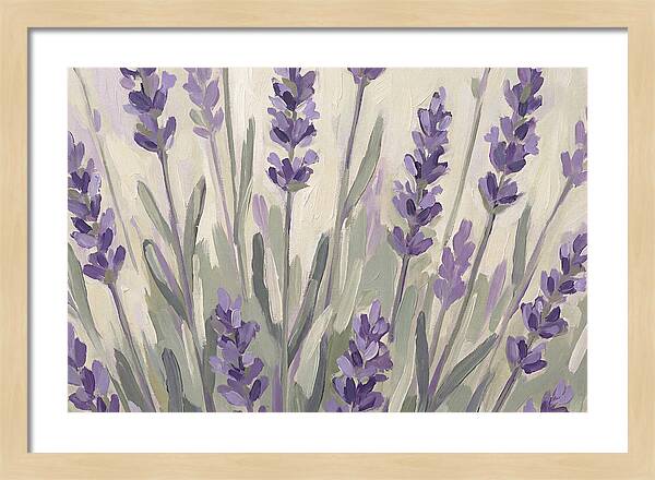 Serenity In Lavender Fields