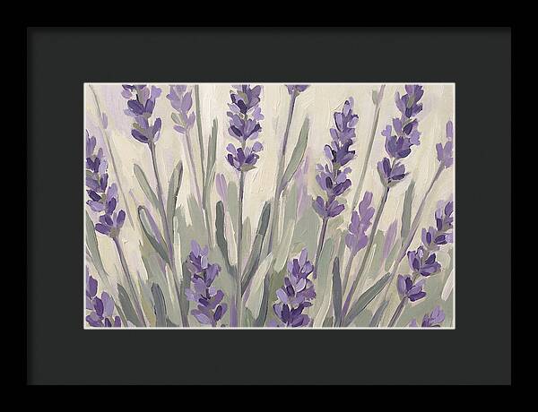 Serenity In Lavender Fields
