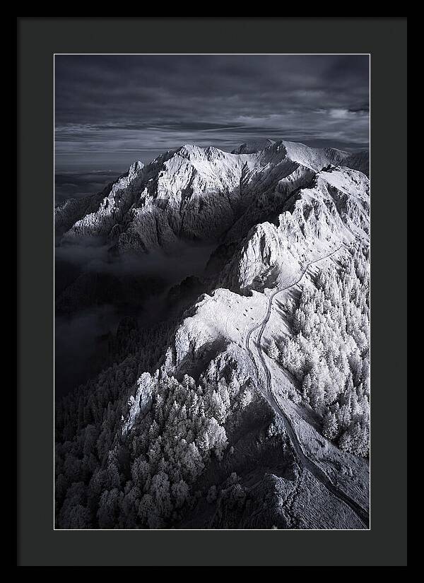 Serenity In The Bucegi Mountains