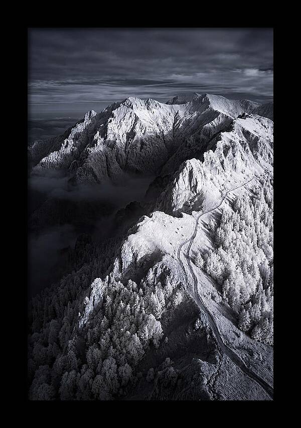 Serenity In The Bucegi Mountains