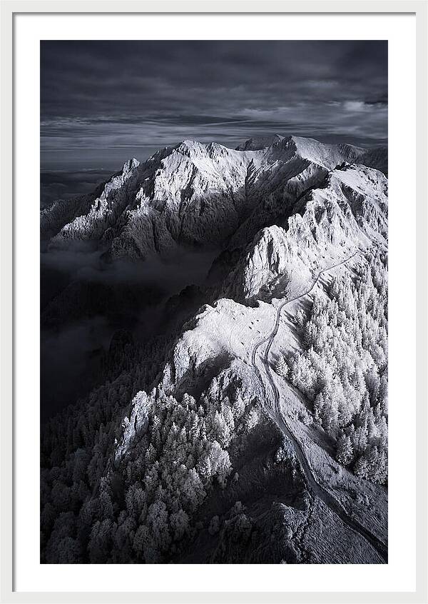 Serenity In The Bucegi Mountains