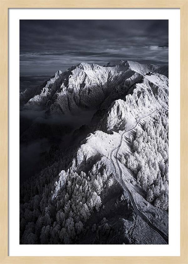 Serenity In The Bucegi Mountains